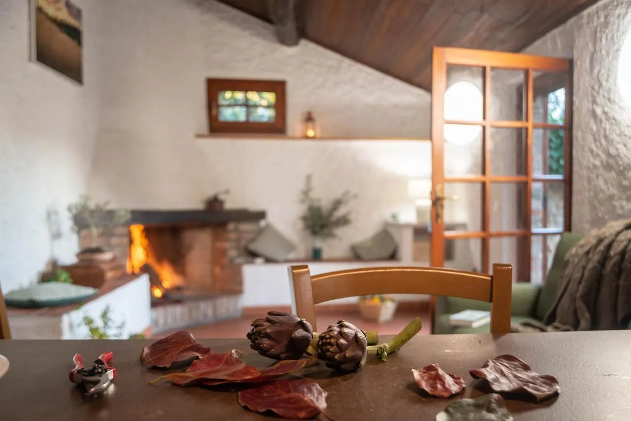 Tenuta Di Poggio Cavallo Istia dʼOmbrone 0*,  Itálie